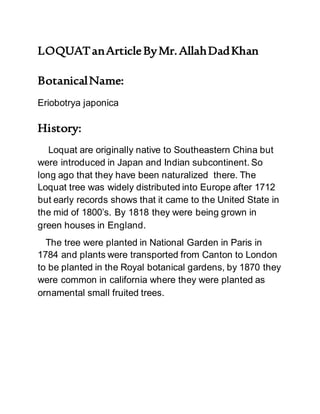 LOQUATanArticleByMr.AllahDadKhan
BotanicalName:
Eriobotrya japonica
History:
Loquat are originally native to Southeastern China but
were introduced in Japan and Indian subcontinent. So
long ago that they have been naturalized there. The
Loquat tree was widely distributed into Europe after 1712
but early records shows that it came to the United State in
the mid of 1800’s. By 1818 they were being grown in
green houses in England.
The tree were planted in National Garden in Paris in
1784 and plants were transported from Canton to London
to be planted in the Royal botanical gardens, by 1870 they
were common in california where they were planted as
ornamental small fruited trees.
 