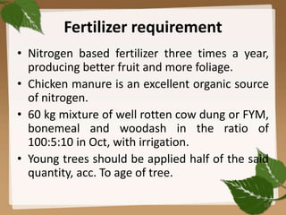 Fertilizer requirement
• Nitrogen based fertilizer three times a year,
producing better fruit and more foliage.
• Chicken manure is an excellent organic source
of nitrogen.
• 60 kg mixture of well rotten cow dung or FYM,
bonemeal and woodash in the ratio of
100:5:10 in Oct, with irrigation.
• Young trees should be applied half of the said
quantity, acc. To age of tree.
13
 