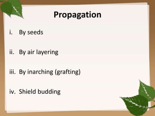 Propagation
i. By seeds
ii. By air layering
iii. By inarching (grafting)
iv. Shield budding
15
 
