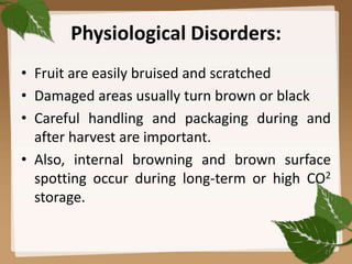 Physiological Disorders:
• Fruit are easily bruised and scratched
• Damaged areas usually turn brown or black
• Careful handling and packaging during and
after harvest are important.
• Also, internal browning and brown surface
spotting occur during long-term or high CO2
storage.
27
 