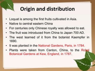 Origin and distribution
• Loquat is among the first fruits cultivated in Asia.
• Native to central eastern China
• For centuries only Chinese royalty was allowed to eat.
• The fruit was introduced from China to Japan 700 AD.
• The west learned of it from the botanist Kaempfer in
1690.
• It was planted in the National Gardens, Paris, in 1784.
• Plants were taken from Canton, China, to the Royal
Botanical Gardens at Kew, England, in 1787.
3
 