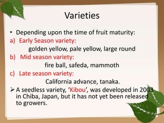 Varieties
• Depending upon the time of fruit maturity:
a) Early Season variety:
golden yellow, pale yellow, large round
b) Mid season variety:
fire ball, safeda, mammoth
c) Late season variety:
California advance, tanaka.
A seedless variety, ‘Kibou’, was developed in 2003
in Chiba, Japan, but it has not yet been released
to growers.
34
 