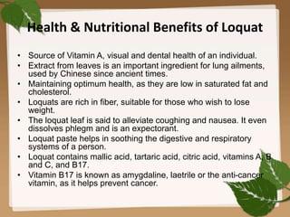 Health & Nutritional Benefits of Loquat
• Source of Vitamin A, visual and dental health of an individual.
• Extract from leaves is an important ingredient for lung ailments,
used by Chinese since ancient times.
• Maintaining optimum health, as they are low in saturated fat and
cholesterol.
• Loquats are rich in fiber, suitable for those who wish to lose
weight.
• The loquat leaf is said to alleviate coughing and nausea. It even
dissolves phlegm and is an expectorant.
• Loquat paste helps in soothing the digestive and respiratory
systems of a person.
• Loquat contains mallic acid, tartaric acid, citric acid, vitamins A, B
and C, and B17.
• Vitamin B17 is known as amygdaline, laetrile or the anti-cancer
vitamin, as it helps prevent cancer.
36
 