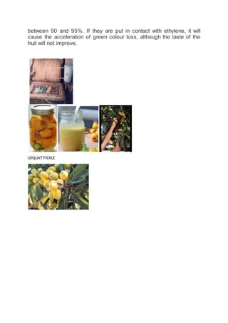between 90 and 95%. If they are put in contact with ethylene, it will
cause the acceleration of green colour loss, although the taste of the
fruit will not improve.
LOQUAT PICKLE
 