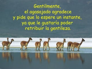 Gentilmente,   el agasajado agradece  y pide que lo espere un instante,  ya que le gustaría poder  retribuir la gentileza. 