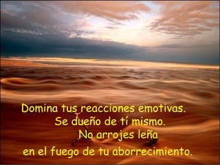 Domina tus reacciones emotivas.  Se dueño de tí mismo.   No arrojes leña  en el fuego de tu aborrecimiento.   
