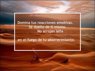 Domina tus reacciones emotivas. Sé dueño de ti mismo. No arrojes leña en el fuego de tu aborrecimiento.