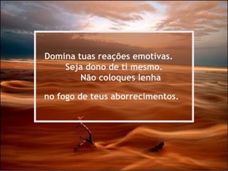 Domina tuas reações emotivas.  Seja dono de ti mesmo.   Não coloques lenha  no fogo de teus aborrecimentos.   
