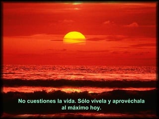No cuestiones la vida. Sólo vívela y aprovéchala
                al máximo hoy.
 