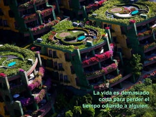 La vida es demasiado
      corta para perder el
tiempo odiando a alguien.
 