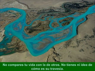 No compares tu vida con la de otros. No tienes ni idea de
                 cómo es su travesía.
 