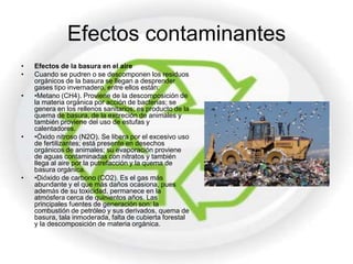 Efectos contaminantes
•   Efectos de la basura en el aire
•   Cuando se pudren o se descomponen los residuos
    orgánicos de la basura se llegan a desprender
    gases tipo invernadero, entre ellos están:
•   •Metano (CH4). Proviene de la descomposición de
    la materia orgánica por acción de bacterias; se
    genera en los rellenos sanitarios; es producto de la
    quema de basura, de la excreción de animales y
    también proviene del uso de estufas y
    calentadores.
•   •Óxido nitroso (N2O). Se libera por el excesivo uso
    de fertilizantes; está presente en desechos
    orgánicos de animales; su evaporación proviene
    de aguas contaminadas con nitratos y también
    llega al aire por la putrefacción y la quema de
    basura orgánica.
•   •Dióxido de carbono (CO2). Es el gas más
    abundante y el que más daños ocasiona, pues
    además de su toxicidad, permanece en la
    atmósfera cerca de quinientos años. Las
    principales fuentes de generación son: la
    combustión de petróleo y sus derivados, quema de
    basura, tala inmoderada, falta de cubierta forestal
    y la descomposición de materia orgánica.
 