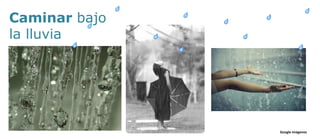 Caminar bajo  la lluvia Google imágenes 