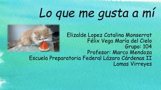 Lo que me gusta a mí
Elizalde Lopez Catalina Monserrat
Félix Vega María del Cielo
Grupo: 104
Profesor: Marco Mendoza
Escuela Preparatoria Federal Lázaro Cárdenas II
Lomas Virreyes
 