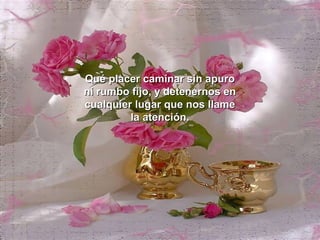 Qué placer caminar sin apuro
ni rumbo fijo, y detenernos en
cualquier lugar que nos llame
         la atención.
 