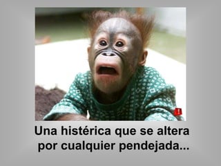 Una histérica que se altera 
por cualquier pendejada... 
 