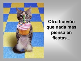 Otro huevón 
que nada mas 
piensa en 
fiestas... 
 