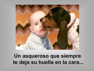 Un asqueroso que siempre 
te deja su huella en la cara... 
 