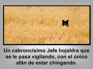 Un cabroncísimo Jefe hojaldra que 
se le pasa vigilando, con el único 
afán de estar chingando. 
