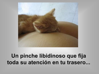 Un pinche libidinoso que fija 
toda su atención en tu trasero... 
 