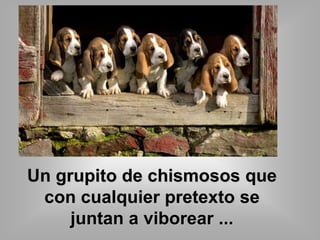 Un grupito de chismosos que 
con cualquier pretexto se 
juntan a viborear ... 
 