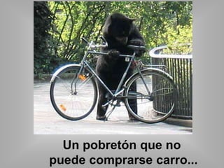 Un pobretón que no 
puede comprarse carro... 
 