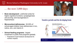 Brown School at Washington University in St. Louis
… the next 3,000 days
• Brain development: prefrontal cortex for
higher...