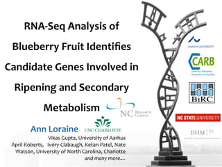 RNA-­‐Seq	
  Analysis	
  of	
  
Blueberry	
  Fruit	
  Identiﬁes	
  
Candidate	
  Genes	
  Involved	
  in	
  
Ripening	
  and	
  Secondary	
  
Metabolism
Ann	
  Loraine	
  presenting	
  work	
  of:	
  

Vikas	
  Gupta,	
  University	
  of	
  Aarhus
April	
  Roberts,	
  	
  	
  Ivory	
  Clabaugh,	
  Ketan	
  Patel,	
  Nate	
  
Watson,	
  University	
  of	
  North	
  Carolina,	
  Charlotte
and	
  many	
  more....

 