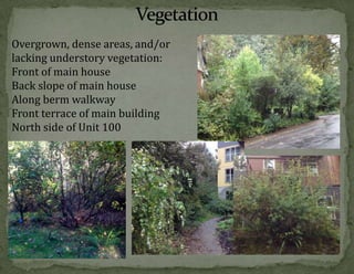 Overgrown, dense areas, and/or
lacking understory vegetation:
Front of main house
Back slope of main house
Along berm walkway
Front terrace of main building
North side of Unit 100

 