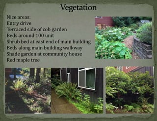 Nice areas:
Entry drive
Terraced side of cob garden
Beds around 100 unit
Shrub bed at east end of main building
Beds along main building walkway
Shade garden at community house
Red maple tree

 