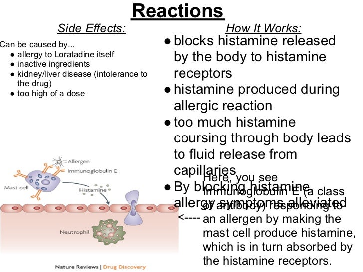 Loratadine Side Effects Impotence