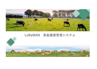 LoRaWAN 家畜健康管理システム
 