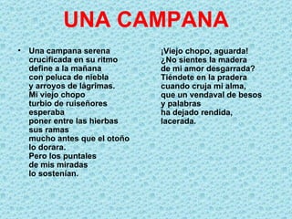 UNA CAMPANA
• Una campana serena         ¡Viejo chopo, aguarda!
  crucificada en su ritmo    ¿No sientes la madera
  define a la mañana         de mi amor desgarrada?
  con peluca de niebla       Tiéndete en la pradera
  y arroyos de lágrimas.     cuando cruja mi alma,
  Mi viejo chopo             que un vendaval de besos
  turbio de ruiseñores       y palabras
  esperaba                   ha dejado rendida,
  poner entre las hierbas    lacerada.
  sus ramas
  mucho antes que el otoño
  lo dorara.
  Pero los puntales
  de mis miradas
  lo sostenían.
 