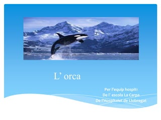 L’ orca
Per l’equip hospit1
De l` escola La Carpa
De l’Hospitalet de Llobregat
 