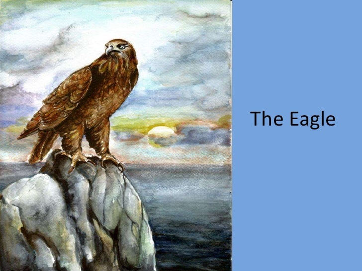 👍 The eagle by alfred lord tennyson. Analysis : ‘Eagle’ by Alfred Lord ...