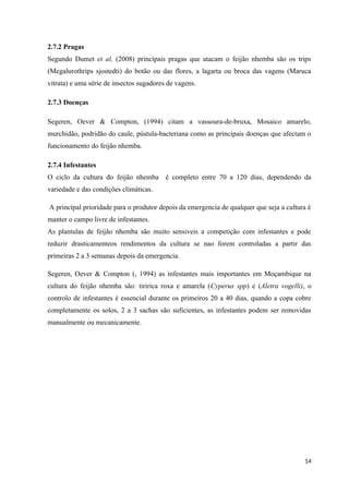 2.7.2 Pragas
Segundo Dumet et al, (2008) princípais pragas que atacam o feijão nhemba são os trips
(Megalurothrips sjostedti) do botão ou das flores, a lagarta ou broca das vagens (Maruca
vitrata) e uma série de insectos sugadores de vagens.
2.7.3 Doenças
Segeren, Oever & Compton, (1994) citam a vassoura-de-bruxa, Mosaico amarelo,
murchidão, podridão do caule, pústula-bacteriana como as principais doenças que afectam o
funcionamento do feijão nhemba.
2.7.4 Infestantes
O ciclo da cultura do feijão nhemba é completo entre 70 a 120 dias, dependendo da
variedade e das condições climàticas.
A princípal prioridade para o produtor depois da emergencia de qualquer que seja a cultura é
manter o campo livre de infestantes.
As plantulas de feijão nhemba são muito sensiveis a competição com infestantes e pode
reduzir drasticamenteos rendimentos da cultura se nao forem controladas a partir das
primeiras 2 a 3 semanas depois da emergencia.
Segeren, Oever & Compton (, 1994) as infestantes mais importantes em Moçambique na
cultura do feijão nhemba são: tiririca roxa e amarela (Cyperus spp) e (Aletra vogelli), o
controlo de infestantes é essencial durante os primeiros 20 a 40 dias, quando a copa cobre
completamente os solos, 2 a 3 sachas são suficientes, as infestantes podem ser removidas
manualmente ou mecanicamente.
14
 