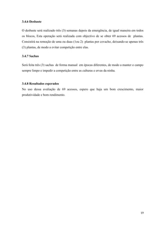 3.4.6 Desbaste
O desbaste será realizado três (3) semanas depois da emergência, de igual maneira em todos
os blocos, Esta operação será realizada com objectivo de se obter 69 acessos de plantas.
Consistirá na remoção de uma ou duas (1ou 2) plantas por covacho, deixando-se apenas três
(3) plantas, de modo a evitar competição entre elas.
3.4.7 Sachas
Será feita três (3) sachas de forma manual em épocas diferentes, de modo a manter o campo
sempre limpo e impedir a competição entre as culturas e ervas da ninha.
3.4.8 Resultados esperados
No uso dessa avaliação de 69 acessos, espero que haja um bom crescimento, maior
produtividade e bom rendimento.
19
 