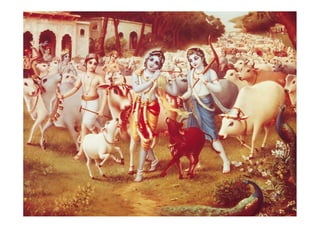 Lord krishna   pictures