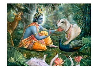 Lord krishna   pictures