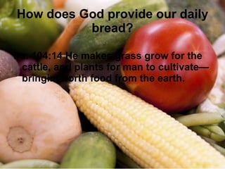 How does God provide our daily bread? Ps. 104:14 He makes grass grow for the cattle, and plants for man to cultivate—bringing forth food from the earth. 