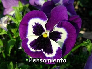 Pensamiento