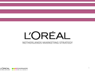 NETHERLANDS MARKETING STRATEGY




                                 1
 