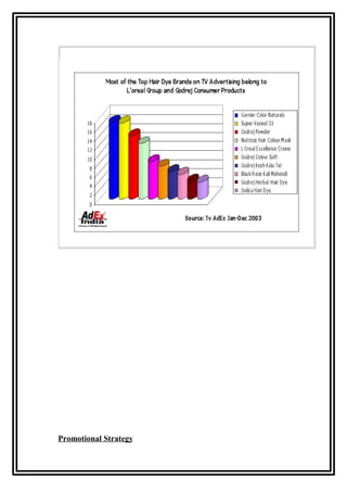 Promotional Strategy
 