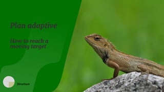 Plan adaptive 

How to reach a
moving target 

Structure


 