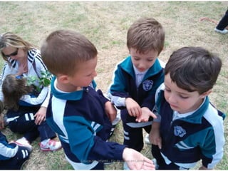 Educación Infantil - Fin de curso en Loredo,
mayo 2015
 