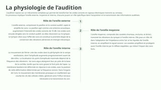 LOreille-Anatomie-et-Physiologie en explo fonctionnelle.pptx