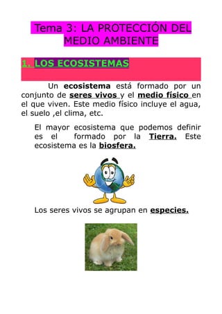 Tema 3: LA PROTECCIÓN DEL
MEDIO AMBIENTE
1. LOS ECOSISTEMAS
Un ecosistema está formado por un
conjunto de seres vivos y el medio físico en
el que viven. Este medio físico incluye el agua,
el suelo ,el clima, etc.
El mayor ecosistema que podemos definir
es el
formado por la Tierra. Este
ecosistema es la biosfera.

Los seres vivos se agrupan en especies.

 