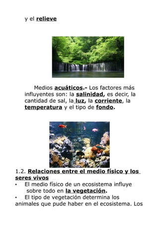 y el relieve

Medios acuáticos.- Los factores más
influyentes son: la salinidad, es decir, la
cantidad de sal, la luz, la corriente, la
temperatura y el tipo de fondo.

1.2. Relaciones entre el medio físico y los
seres vivos
•
El medio físico de un ecosistema influye
sobre todo en la vegetación.
•
El tipo de vegetación determina los
animales que pude haber en el ecosistema. Los

 