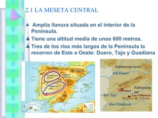 2.1 LA MESETA CENTRAL
Amplia llanura situada en el interior de la
Península.
▲ Tiene una altitud media de unos 600 metros.
▲ Tres de los ríos más largos de la Península la
recorren de Este a Oeste: Duero, Tajo y Guadiana
▲

 