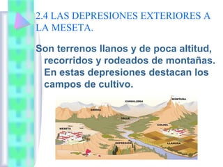 2.4 LAS DEPRESIONES EXTERIORES A
LA MESETA.
Son terrenos llanos y de poca altitud,
recorridos y rodeados de montañas.
En estas depresiones destacan los
campos de cultivo.

 